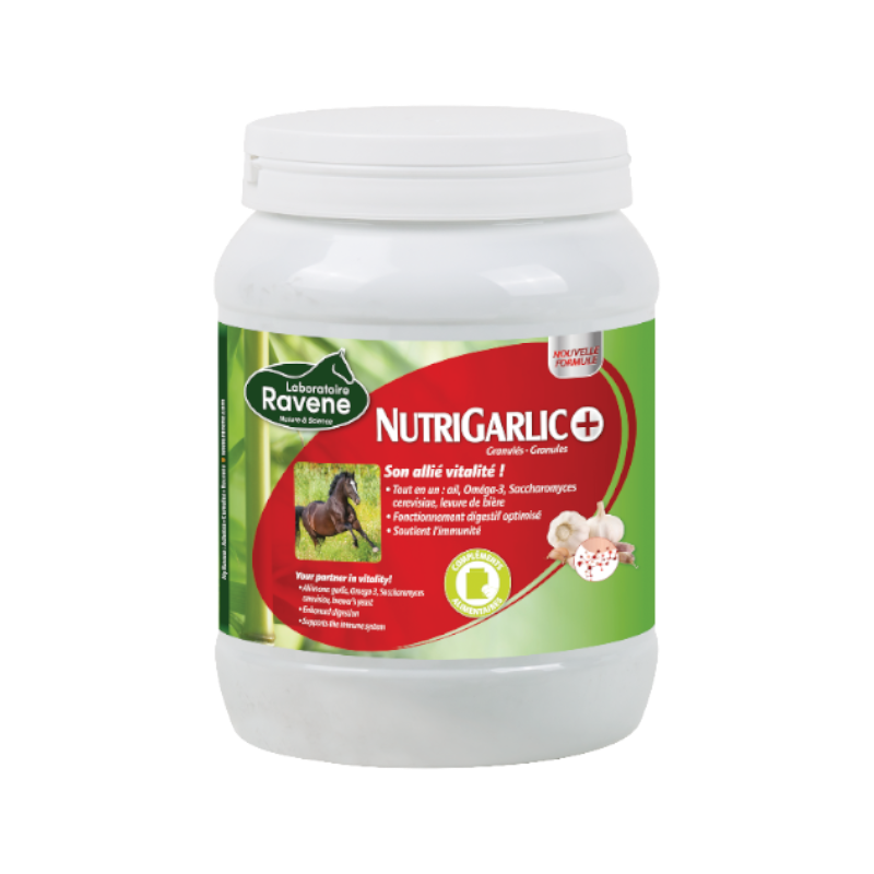 Ravene - food supplement general state Nutrigarlic +