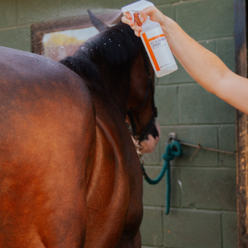 Red Horse - 馬用虫除けスプレー RZ Summer Spray