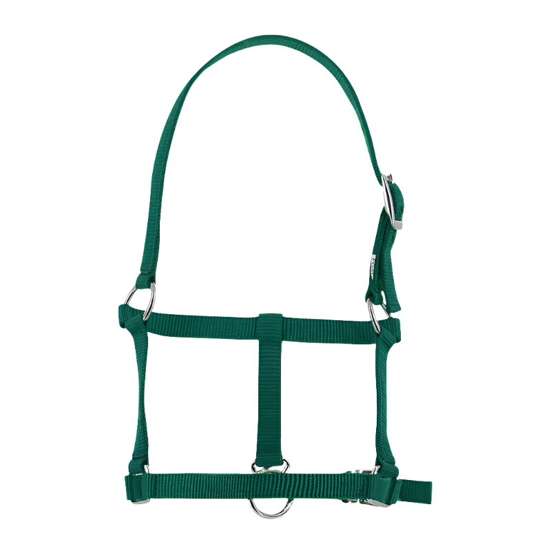 Riding World - Dark green foal halter