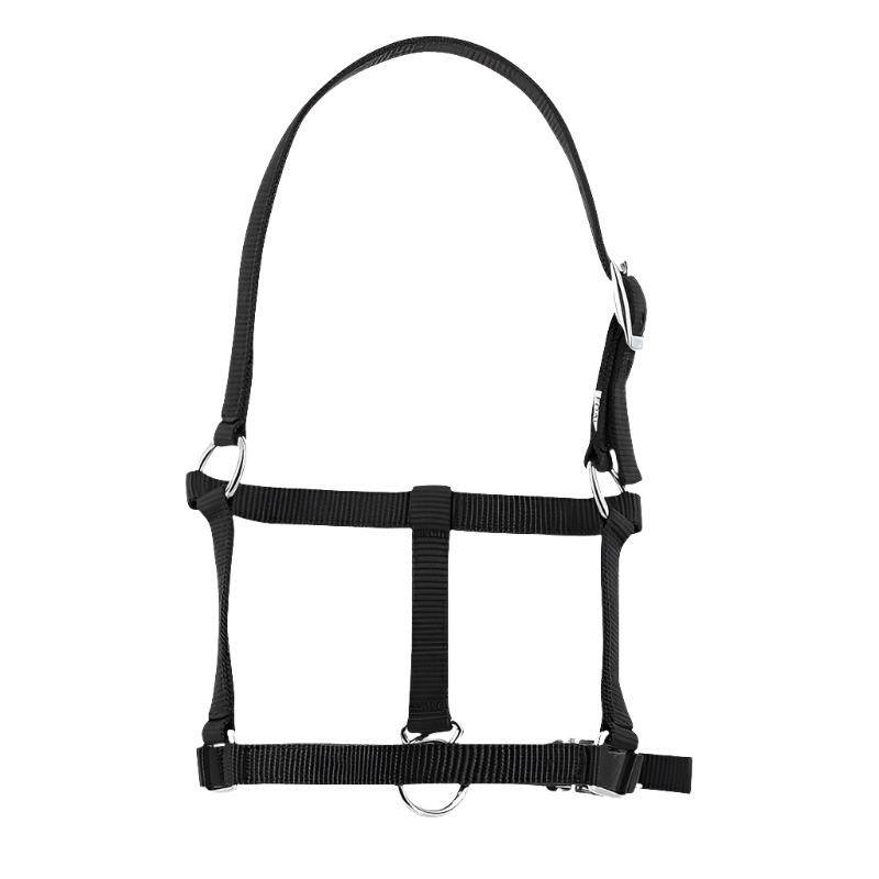 Riding World - Black foal halter