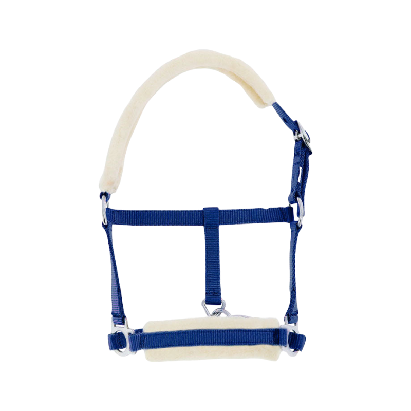 Riding World - Synthetic foal halter Sheep royal blue