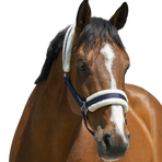 Riding World - Capezza in montone sintetico blu navy | - Ohlala