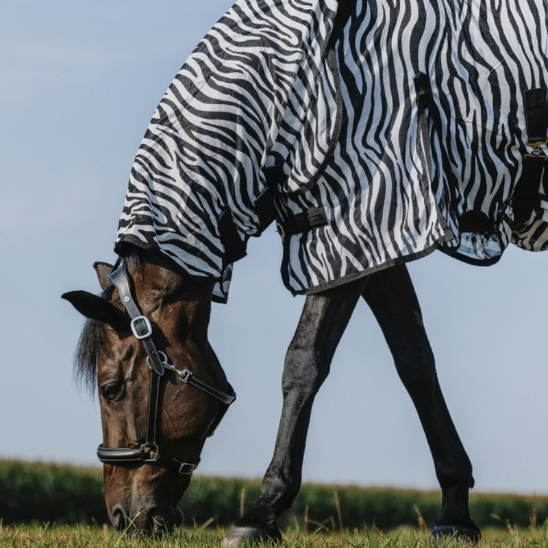 Riding World - Anti-fly mesh shirt Combo Belly zebra 