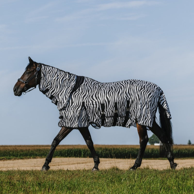 Riding World - Anti-fly mesh shirt Combo Belly zebra 