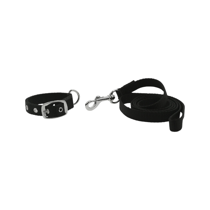 Riding World - Black Oscar dog collar and leash 