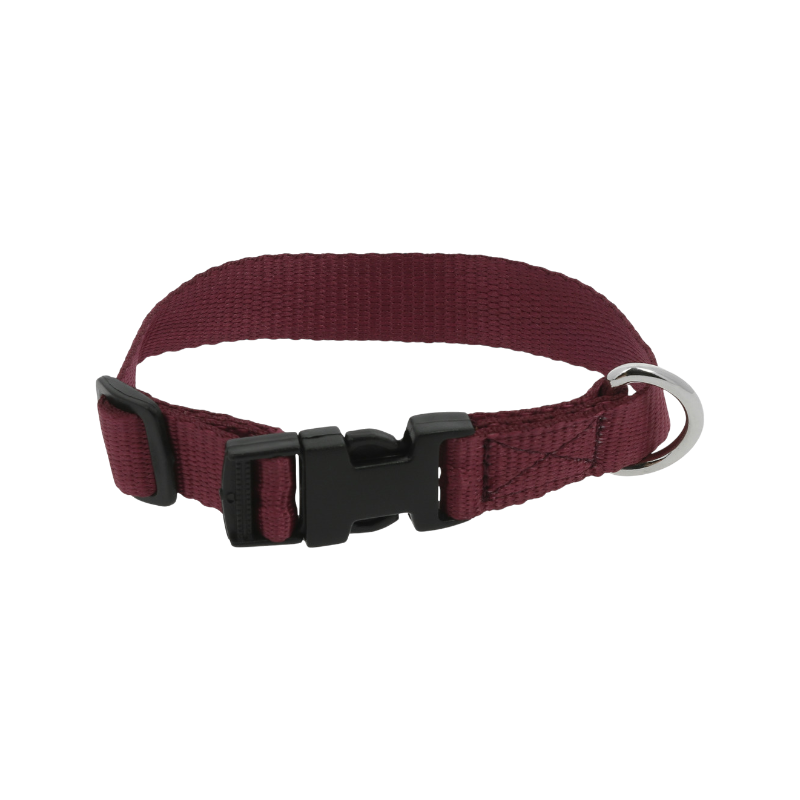 Riding World - Bordeaux Pat dog collar 