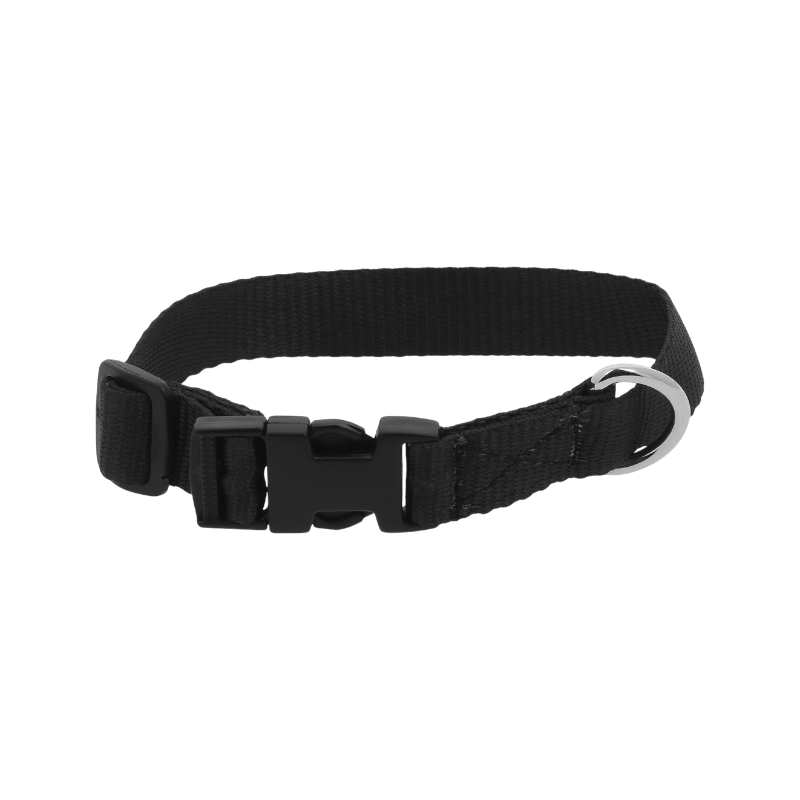 Riding World - Black dog collar 