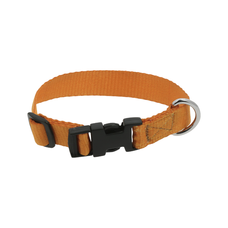 Riding World - Orange dog collar 