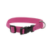 Riding World - Pat dog collar in pink | - Ohlala