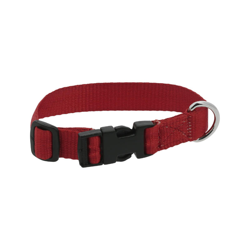 Riding World - Red Pat dog collar 