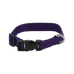 Riding World - Pat dog collar in purple | - Ohlala