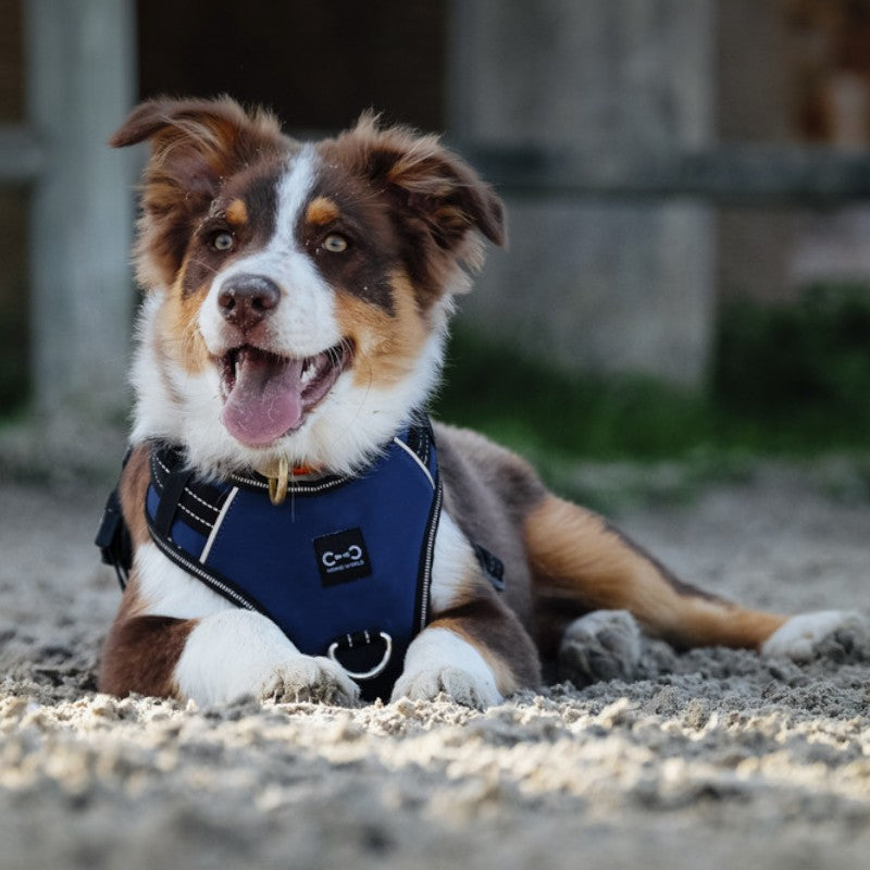 Riding World - Simba marine dog harness 
