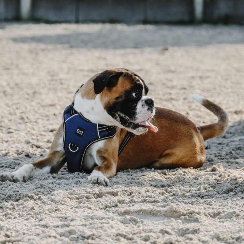 Riding World - Simba marine dog harness 