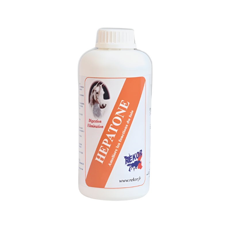 Rekor - Food supplement support for hepatone liver