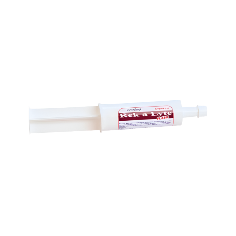 Rekor - Food supplement Electrolytes Rek A Lyte