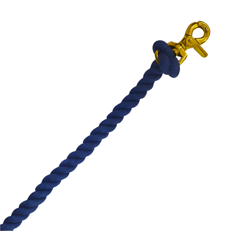 Norton - Twisted cotton reins from pony games royal blue