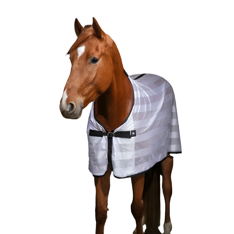 Riding World - Chemise filet Mesh blanc