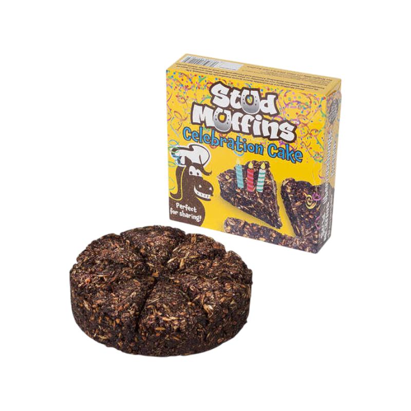 Stud Muffins - Torta di compleanno per cavalli