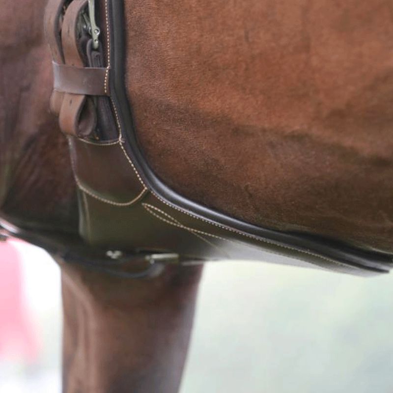 Kentucky Horsewear - Sangle bavette courte marron | - Ohlala