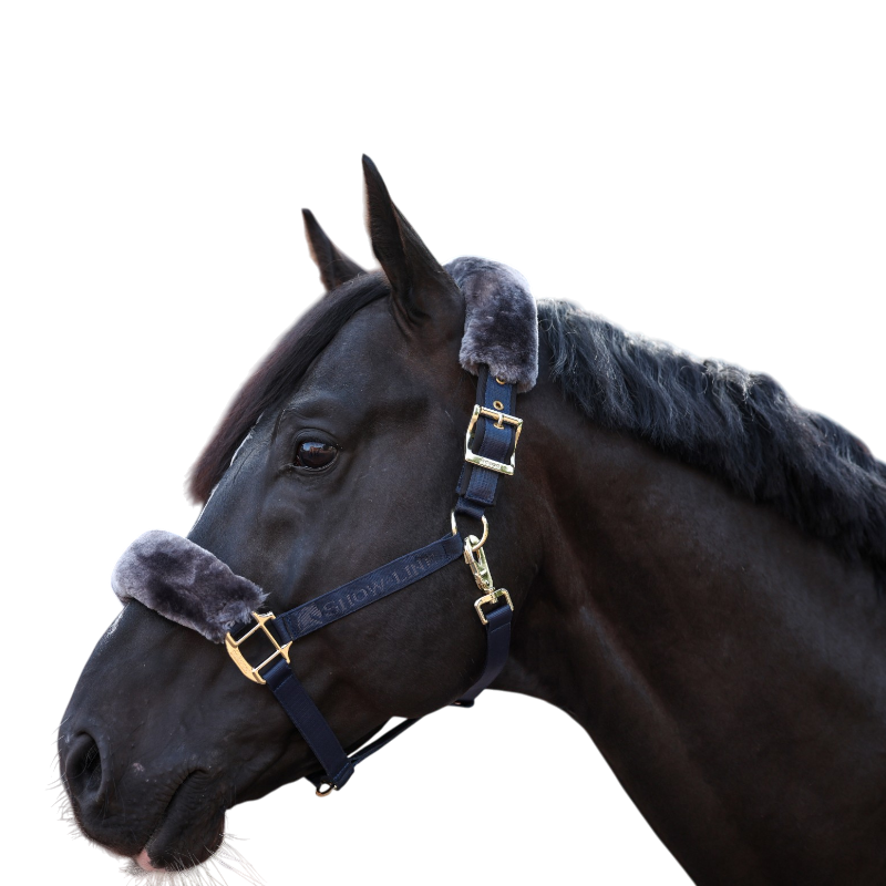 Bucas - Show-Line Half Fur Headcollar Navy/Grey