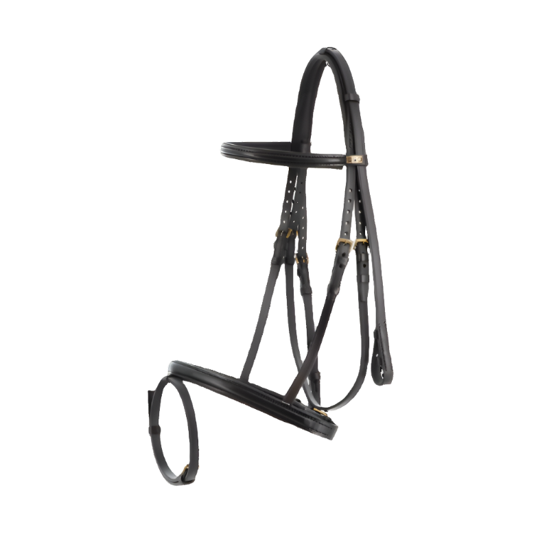 Stübben - Leitrim 2300 bridle combined noseband black/black/brass