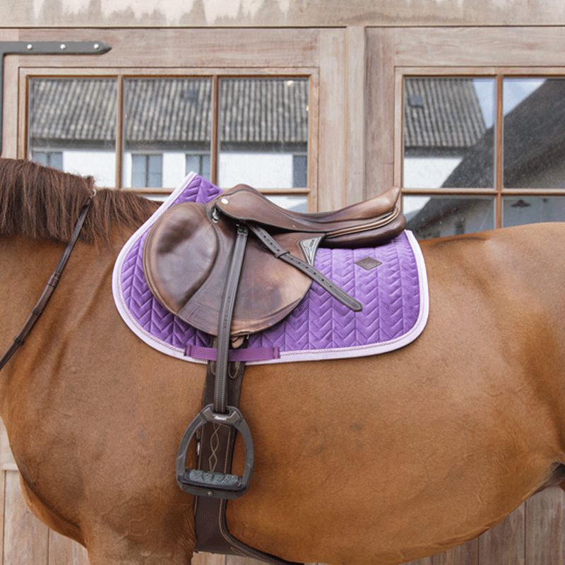 Kentucky Horsewear - Tapis de selle velvet contrast violet royal | - Ohlala