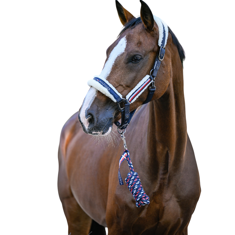 Tommy Hilfiger Equestrian - Cavezza con montone sintetico Kennedy desert sky