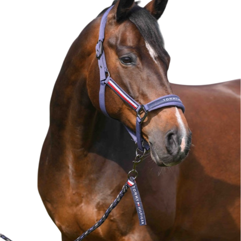 Tommy Hilfiger Equestrian - Cavezza e longhina Yale faded indigo