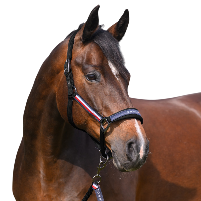 Tommy Hilfiger Equestrian - Yale ブラック ホルター＆リードロープ