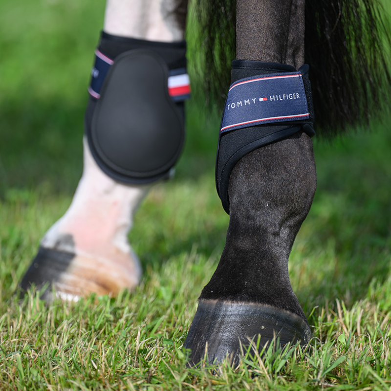 Tommy Hilfiger Equestrian - Protectores de menudillo Victory negro