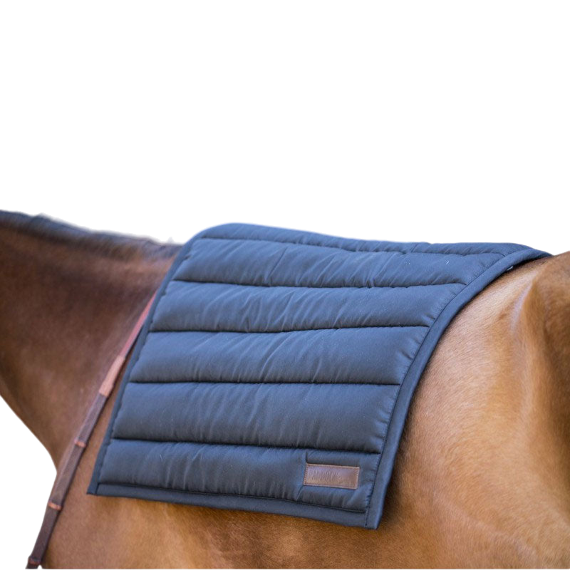 Paddock Sports - Big Pad saddle pad black