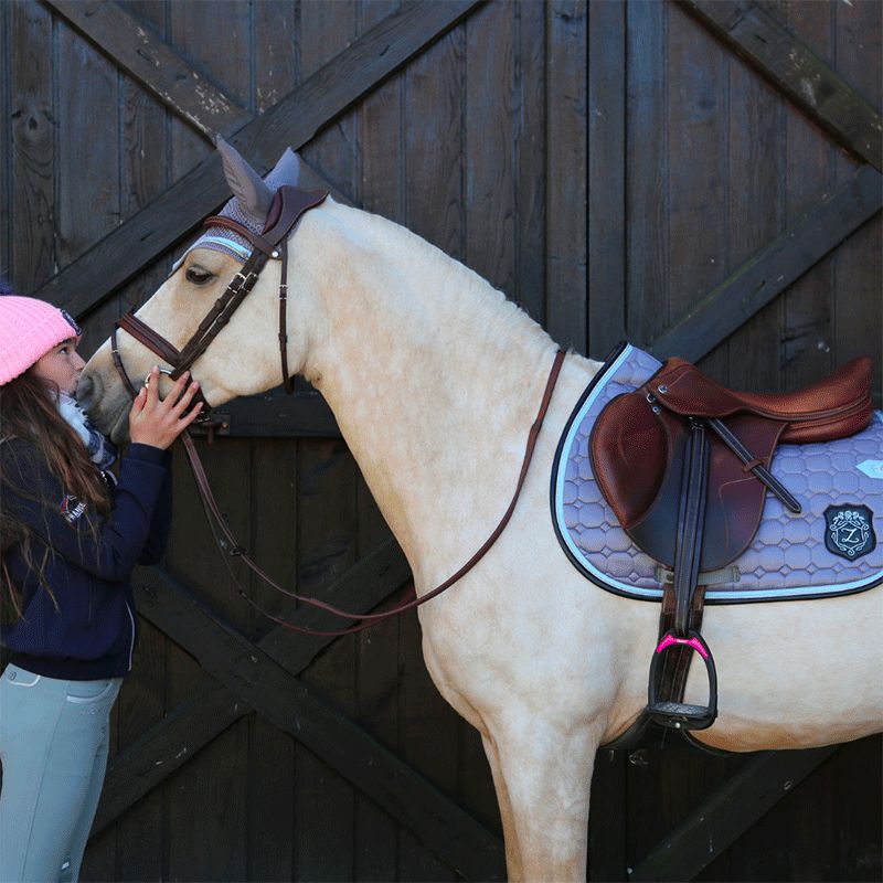 Zoé's ponies - Rug and hat #champion grey/blue/black