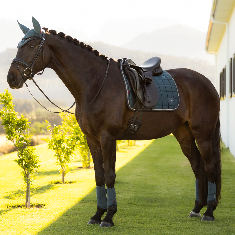 LeMieux - Loire Classic dressuurpad jungle | - Ohlala