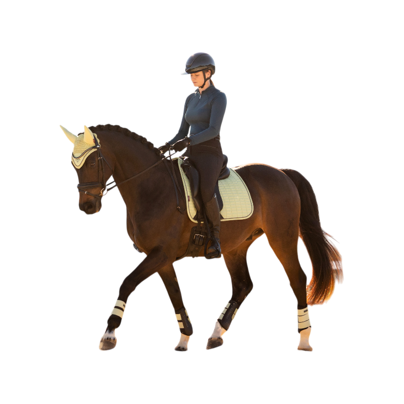 LeMieux - スエード馬場馬術サドルパッド マカロン | - Ohlala