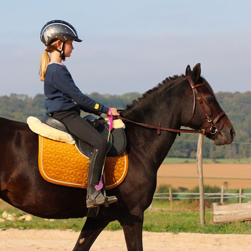 Kentucky Horsewear - Tapis de selle Velvet Jumping Moutarde pour minis | - Ohlala