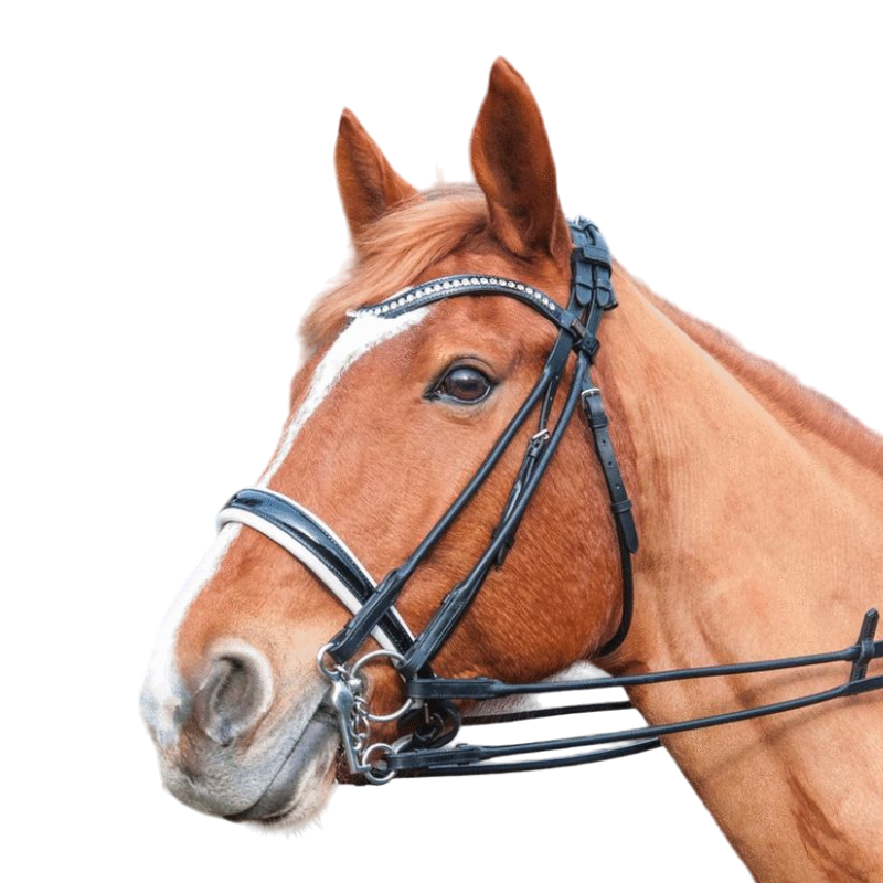 TdeT - Ribera bridle and reins round black leather