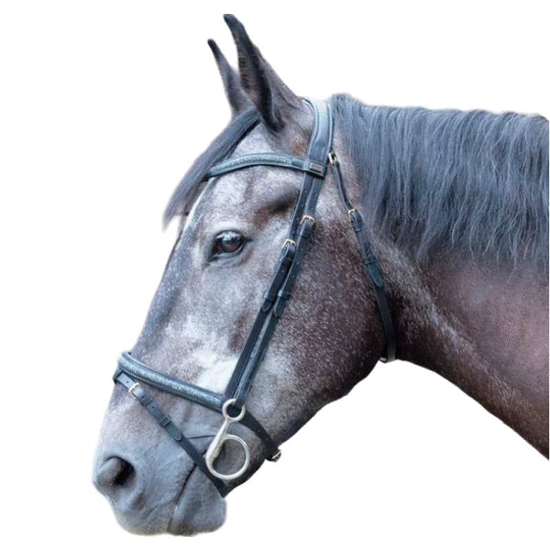 TdeT - Guardi bridle and reins with black softy leather anatomical headstall | - Ohlala