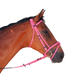 TdeT - Biotack® Rose Bridle | - Ohlala