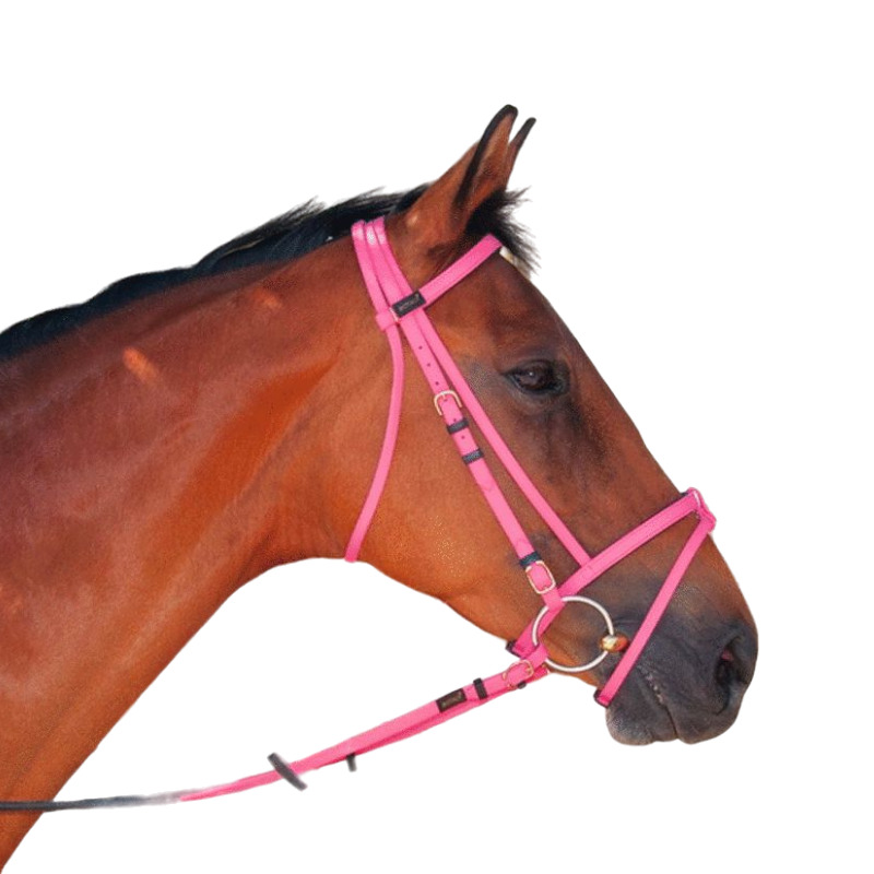 TdeT - Pink Biotack® bridle