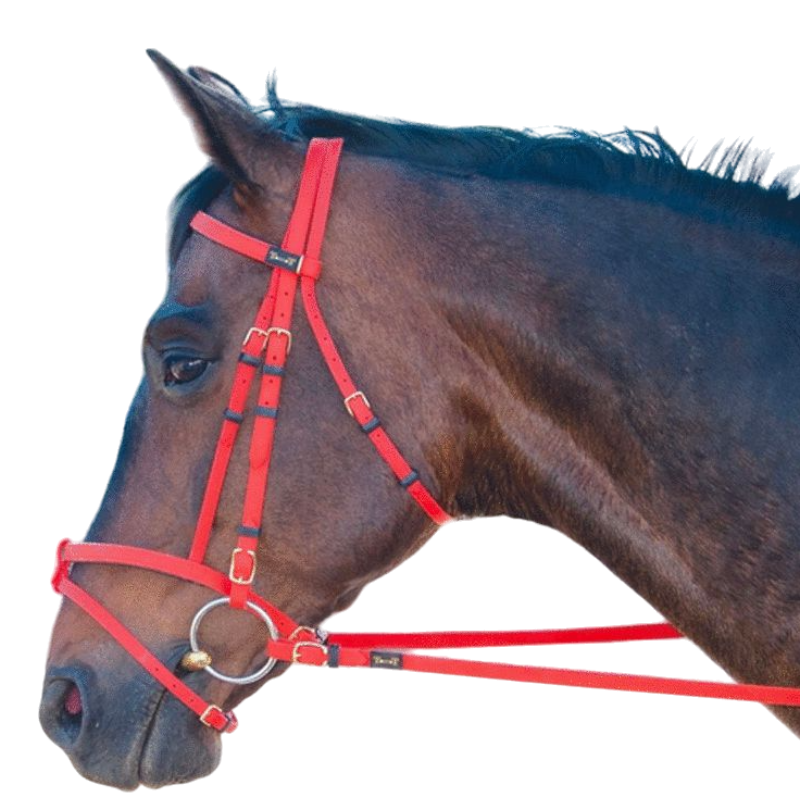 TdeT - Orange Biotack® bridle