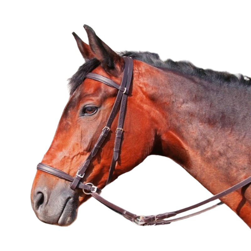 TdeT - Bridle with reins Bitless dark havana