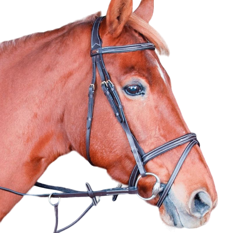 TdeT - Michel Robert bridle and reins triple headpiece combined noseband dark havana