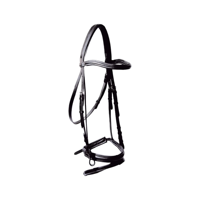 TdeT - Michel Robert bridle and reins combined noseband black