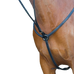 TdeT - Hunter's breastplate lined black | - Ohlala
