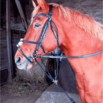 TdeT - Gogue classique noir | - Ohlala