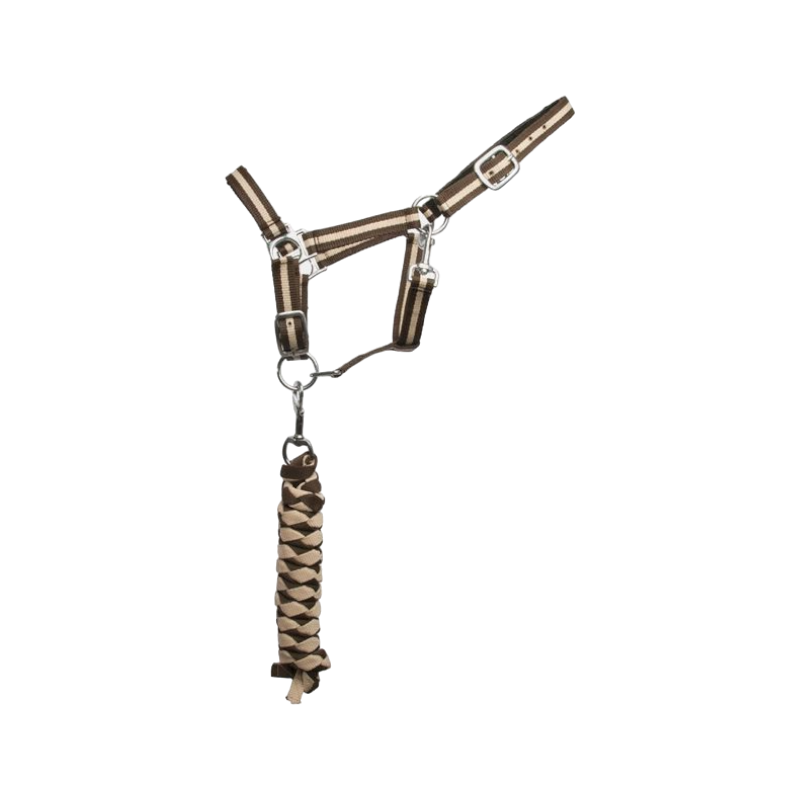 TdeT - Lined synthetic halter + dark brown/beige braided lead