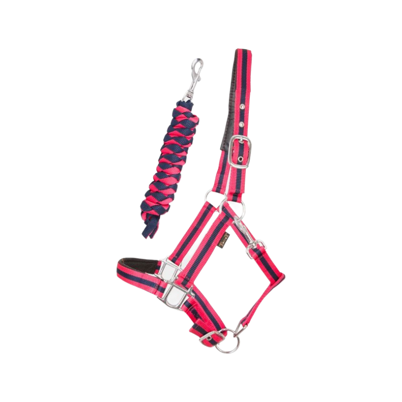 TdeT - Rubber lined halter with matching lead pink/navy