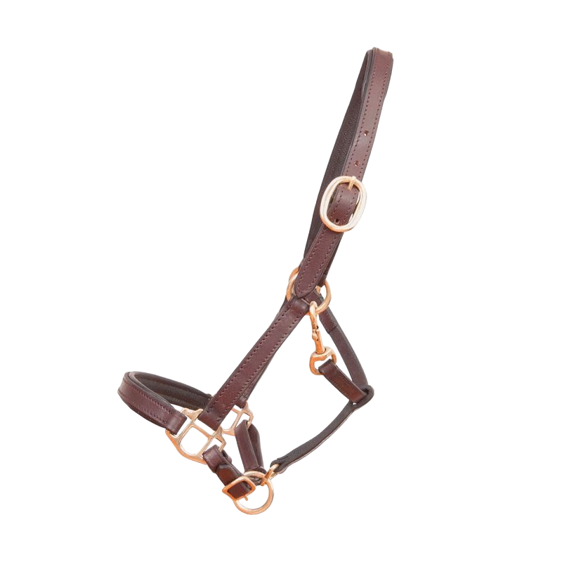 TdeT - Foal halter in dark brown leather