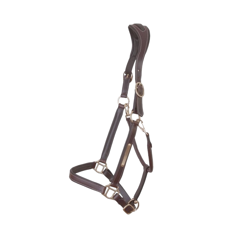 TdeT - Havana leather halter and anatomical plate