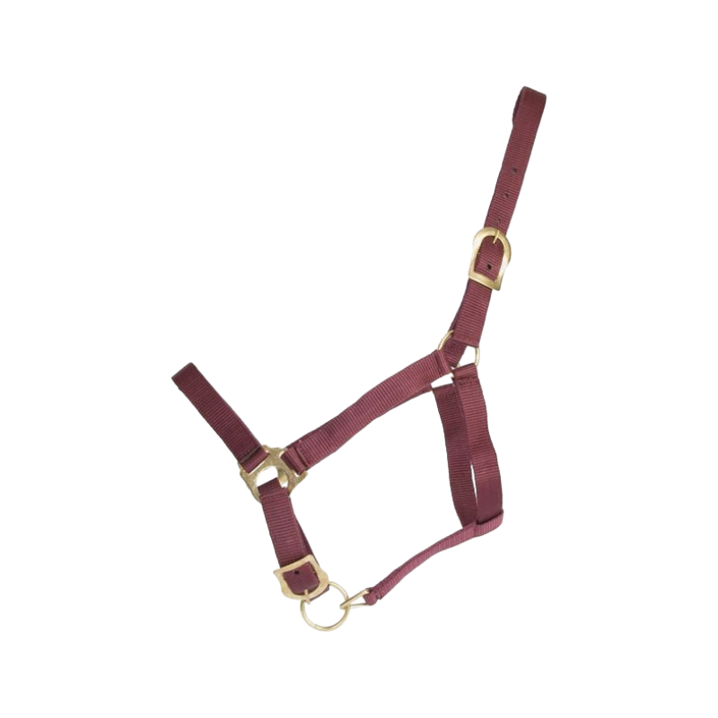 TdeT - Burgundy synthetic halter